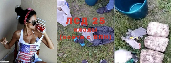стаф Новодвинск