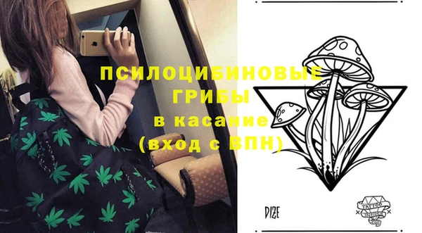 не бодяженный Абдулино