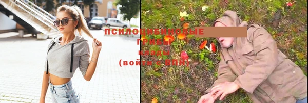 мет Абаза