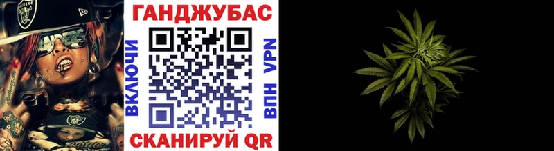 Конопля сатива  Инза 
